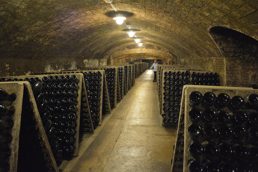Marc's Vinothek | Weinreisen Priorat | Bild 18