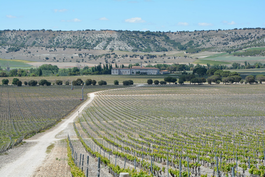 Marc's Vinothek | Weinreisen Ribera del Duero | Bild 2