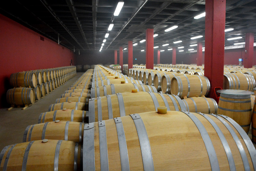 Marc's Vinothek | Weinreisen Ribera del Duero | Bild 8
