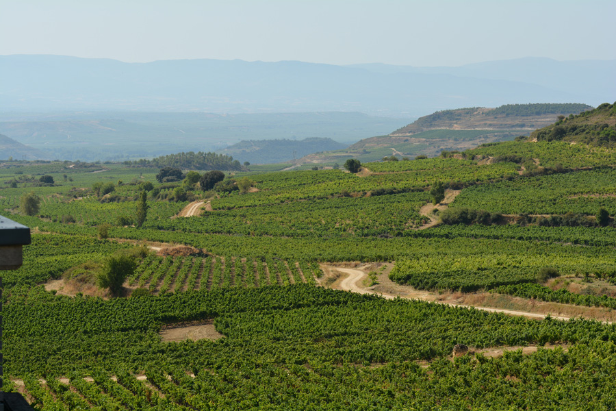 Marc's Vinothek | Weinreisen Rioja | Bild 1