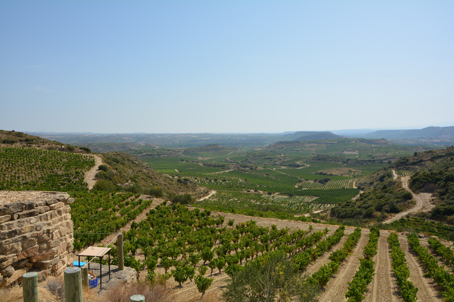 Marc's Vinothek | Weinreisen Rioja | Bild 13