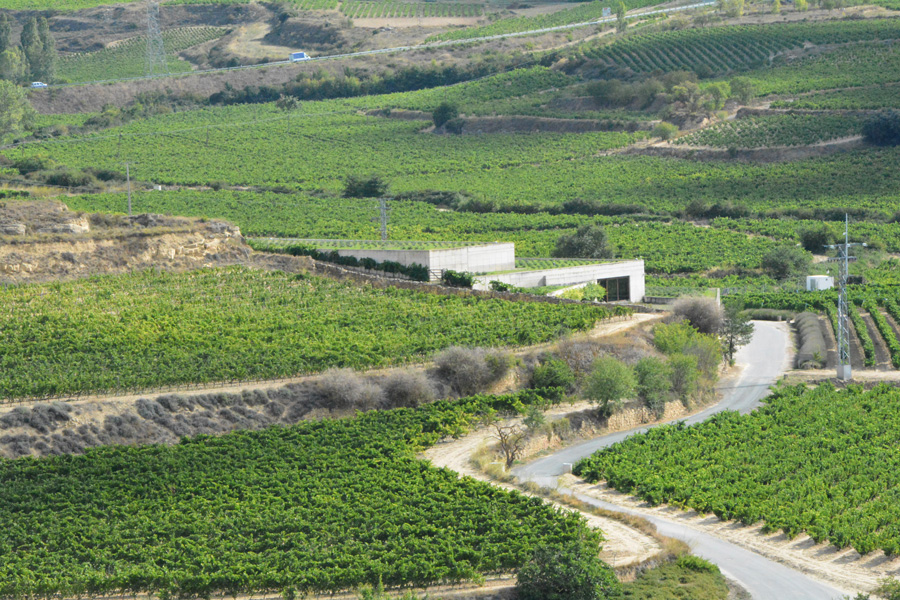 Marc's Vinothek | Weinreisen Rioja | Bild 2