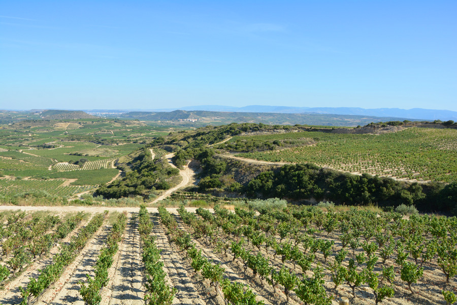 Marc's Vinothek | Weinreisen Rioja | Bild 6