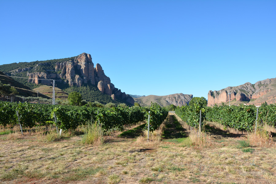 Marc's Vinothek | Weinreisen Rioja | Bild 8